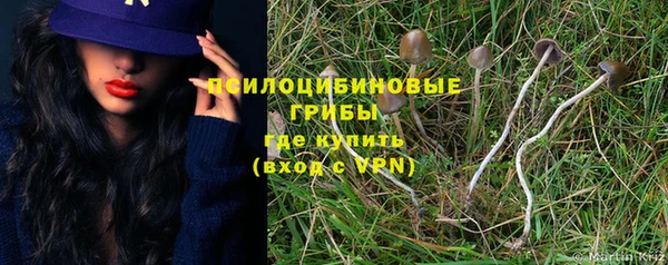 мяу мяу мука Бородино