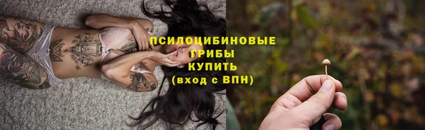 мяу мяу мука Бородино