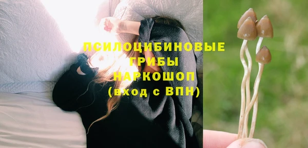 амф Бугульма