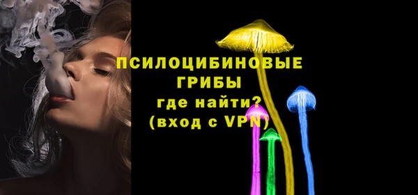 амф Бугульма