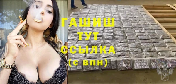 мяу мяу мука Бородино