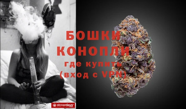 мяу мяу мука Бородино