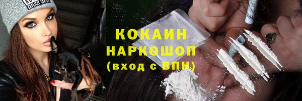 мяу мяу мука Бородино
